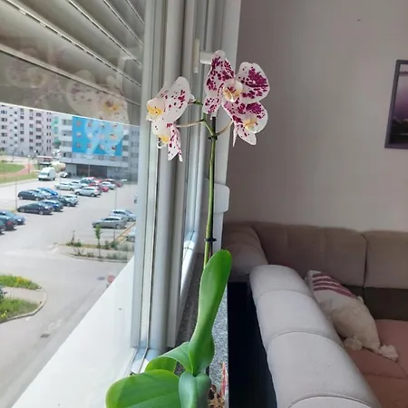 アパート Andrea Lukavica